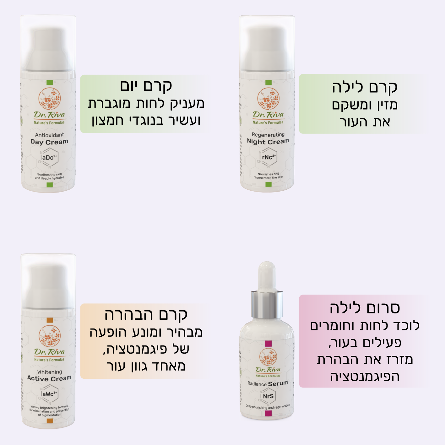 אינפוגרפיקה של הלבנת קווינטט