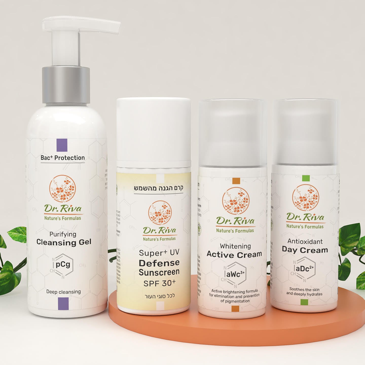 מארז הכרות Intro