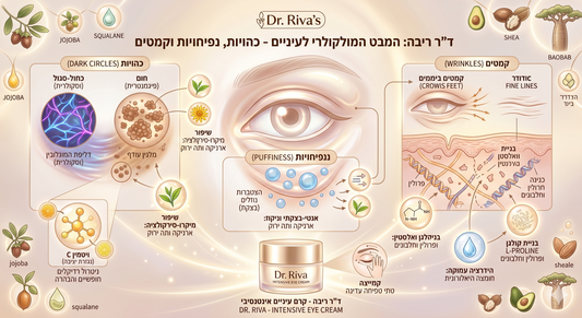 מבט המולקולרי: המדריך המלא לכהויות, נפיחויות וקמטים באזור העיניים