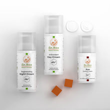 טריו יום ולילה